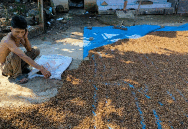 {37697366-B4C7-4F5B-91C9-59BED03F9B35} {37697366-B4C7-4F5B-91C9-59BED03F9B35}